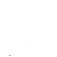 teamvincenzoshop Thumbnail